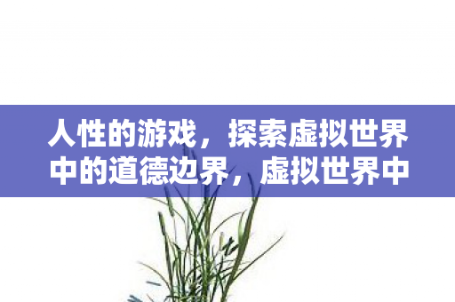 人性的游戏,探索虚拟世界中的道德边界,虚拟世界中的道德边界,人性与游戏的探索 人性的游戏,探索虚拟世界中的道德边界,虚拟世界中的道德边界,人性与游戏的探索