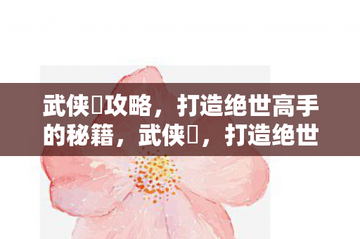 武侠乂攻略，打造绝世高手的秘籍，武侠乂，打造绝世高手的秘籍
