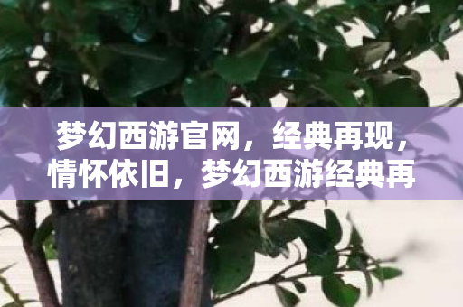 梦幻西游官网，经典再现，情怀依旧，梦幻西游经典再现，情怀依旧