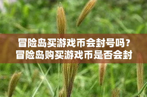 冒险岛买游戏币会封号吗?冒险岛购买游戏币是否会封号? 冒险岛买游戏币会封号吗?冒险岛购买游戏币是否会封号?