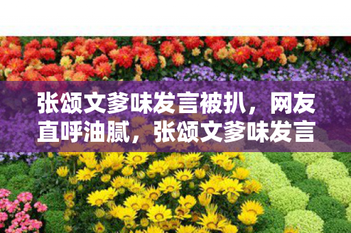 张颂文爹味发言被扒,网友直呼油腻,张颂文爹味发言遭网友吐槽 张颂文爹味发言被扒,网友直呼油腻,张颂文爹味发言遭网友吐槽