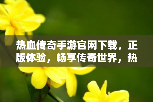 热血传奇手游官网下载，正版体验，畅享传奇世界，热血传奇手游官网下载，正版传奇世界等你来体验