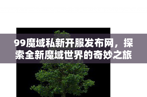 探索全新魔域世界的奇妙之旅图片