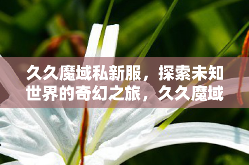 探索未知世界的奇幻之旅图片