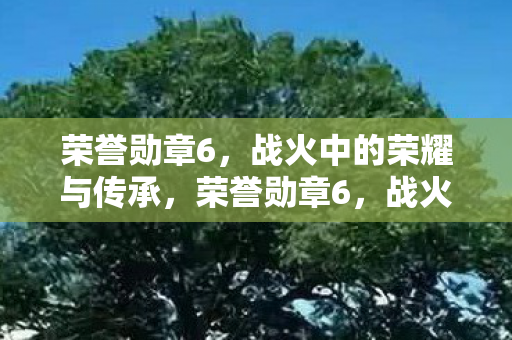 荣誉勋章6,战火中的荣耀与传承,荣誉勋章6,战火中的荣耀与传承 荣誉勋章6,战火中的荣耀与传承,荣誉勋章6,战火中的荣耀与传承