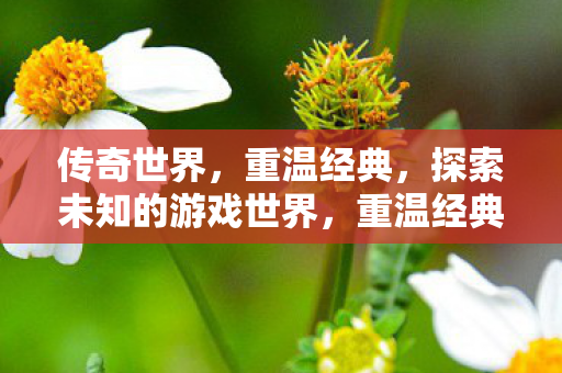 传奇世界游戏世界之旅图片