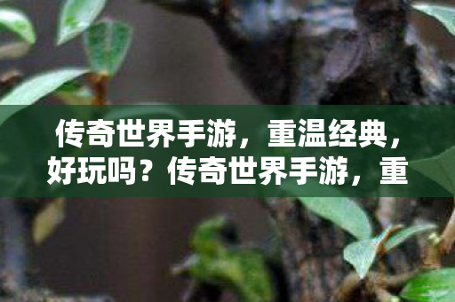 传奇世界手游图片
