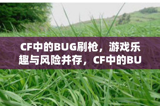 CF中的BUG刷枪,游戏乐趣与风险并存,CF中的BUG刷枪,游戏乐趣与风险并存 CF中的BUG刷枪,游戏乐趣与风险并存,CF中的BUG刷枪,游戏乐趣与风险并存