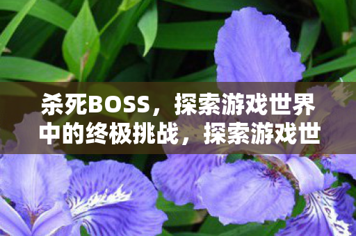 杀死BOSS，探索游戏世界中的终极挑战，探索游戏世界，终极挑战——杀死BOSS
