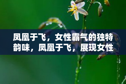 凤凰于飞,女性霸气的独特韵味,凤凰于飞,展现女性霸气的独特韵味 凤凰于飞,女性霸气的独特韵味,凤凰于飞,展现女性霸气的独特韵味