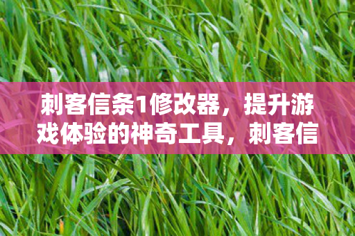 刺客信条1修改器,提升游戏体验的神奇工具,刺客信条1修改器,提升游戏体验的神奇工具 刺客信条1修改器,提升游戏体验的神奇工具,刺客信条1修改器,提升游戏体验的神奇工具