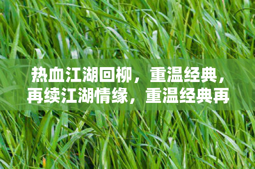 热血江湖回柳，重温经典，再续江湖情缘，重温经典再续江湖情缘，热血江湖回柳