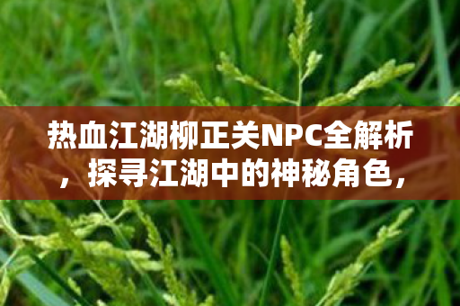 热血江湖柳正关NPC全解析,探寻江湖中的神秘角色,热血江湖柳正关NPC全解析,探寻江湖中的神秘角色 热血江湖柳正关NPC全解析,探寻江湖中的神秘角色,热血江湖柳正关NPC全解析,探寻江湖中的神秘角色