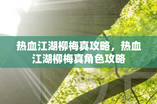 热血江湖柳梅真攻略，热血江湖柳梅真角色攻略