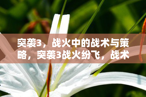 突袭3,战火中的战术与策略,突袭3战火纷飞,战术策略大揭秘 突袭3,战火中的战术与策略,突袭3战火纷飞,战术策略大揭秘