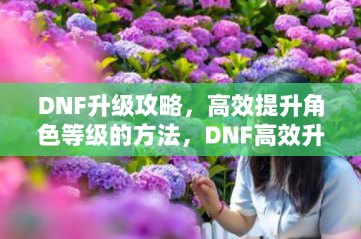DNF升级攻略,高效提升角色等级的方法,DNF高效升级攻略,角色等级飞速提升的方法 DNF升级攻略,高效提升角色等级的方法,DNF高效升级攻略,角色等级飞速提升的方法