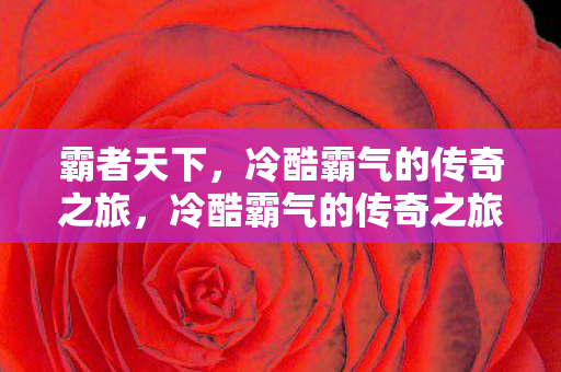 霸者天下,冷酷霸气的传奇之旅,冷酷霸气的传奇之旅,霸者天下 霸者天下,冷酷霸气的传奇之旅,冷酷霸气的传奇之旅,霸者天下