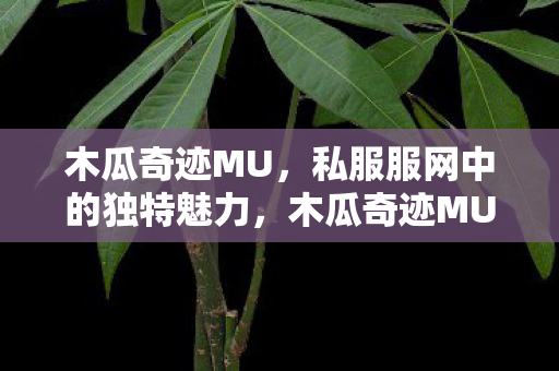 木瓜奇迹MU,私服服网中的独特魅力,木瓜奇迹MU,私服服网中的独特魅力 木瓜奇迹MU,私服服网中的独特魅力,木瓜奇迹MU,私服服网中的独特魅力