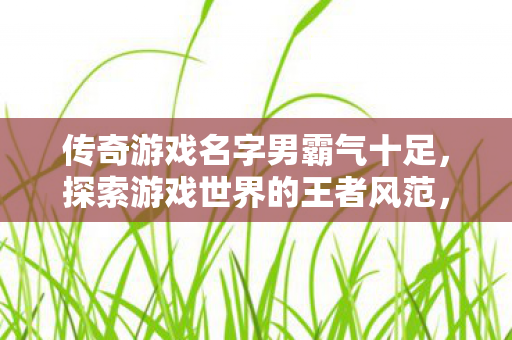 传奇游戏名字男霸气十足，探索游戏世界的王者风范，王者风范，传奇游戏名字男，霸气十足探索游戏世界