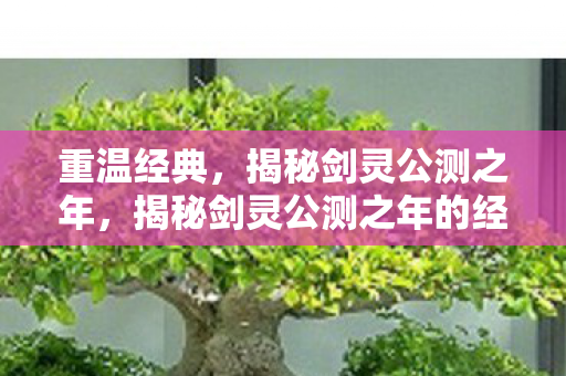 揭秘剑灵公测之年的经典回忆图片