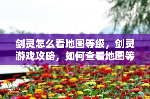 剑灵怎么看地图等级图片