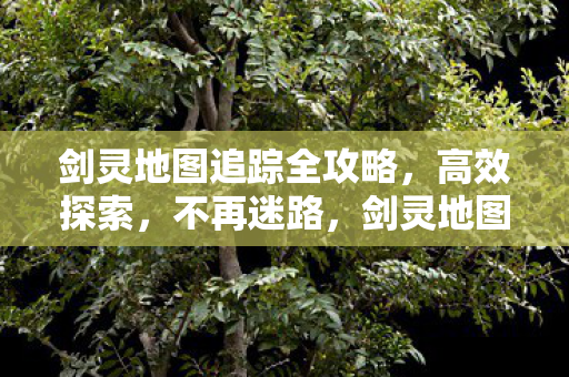 剑灵地图追踪全攻略图片