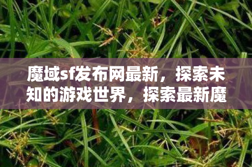 探索最新魔域sf发布网图片