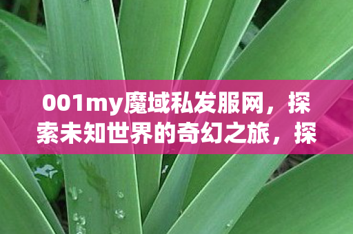 001my魔域私发服网图片