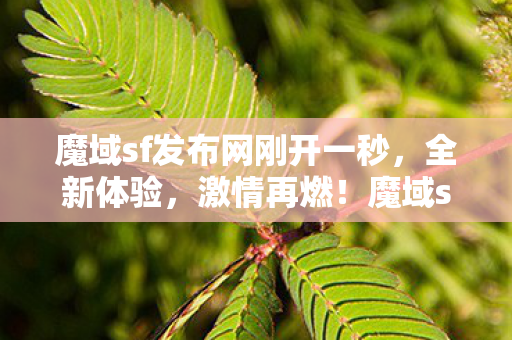 魔域sf发布网刚开一秒图片