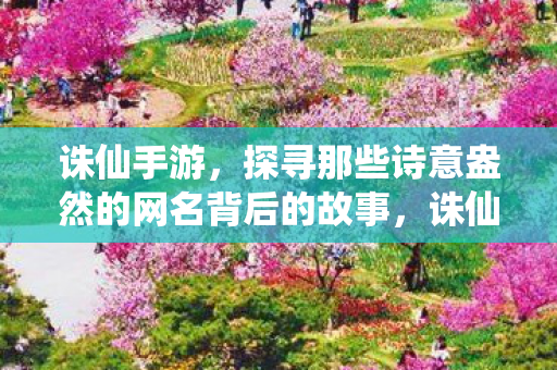探寻那些诗意盎然的网名背后的故事图片