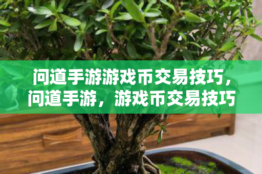 问道手游游戏币交易技巧图片