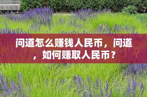 问道怎么赚钱人民币图片
