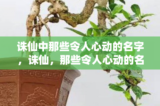 诛仙中那些令人心动的名字,诛仙,那些令人心动的名字 诛仙中那些令人心动的名字,诛仙,那些令人心动的名字