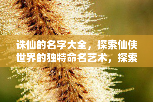 诛仙的名字大全,探索仙侠世界的独特命名艺术,探索诛仙的命名艺术,独特名字大全 诛仙的名字大全,探索仙侠世界的独特命名艺术,探索诛仙的命名艺术,独特名字大全