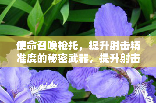 使命召唤枪托,提升射击精准度的秘密武器,提升射击精准度的秘密武器,使命召唤枪托 使命召唤枪托,提升射击精准度的秘密武器,提升射击精准度的秘密武器,使命召唤枪托
