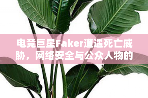 电竞巨星Faker遭遇死亡威胁,网络安全与公众人物的双重挑战,Faker遭遇死亡威胁,网络安全与公众人物双重挑战 电竞巨星Faker遭遇死亡威胁,网络安全与公众人物的双重挑战,Faker遭遇死亡威胁,网络安全与公众人物双重挑战