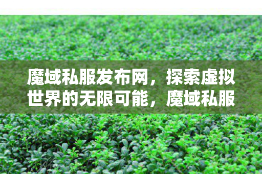 探索虚拟世界的无限可能图片