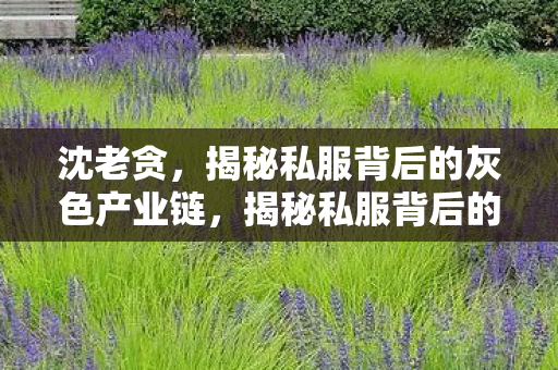 沈老贪,揭秘私服背后的灰色产业链,揭秘私服背后的灰色产业链,沈老贪的罪恶行径 沈老贪,揭秘私服背后的灰色产业链,揭秘私服背后的灰色产业链,沈老贪的罪恶行径