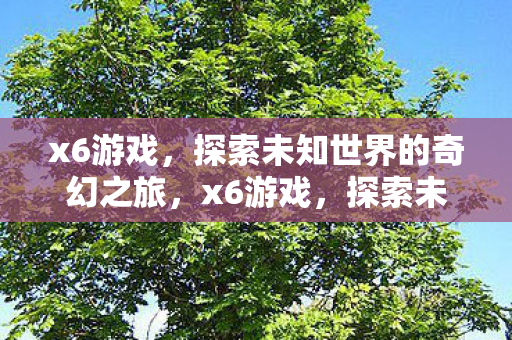 x6游戏,探索未知世界的奇幻之旅,x6游戏,探索未知世界的奇幻之旅 x6游戏,探索未知世界的奇幻之旅,x6游戏,探索未知世界的奇幻之旅