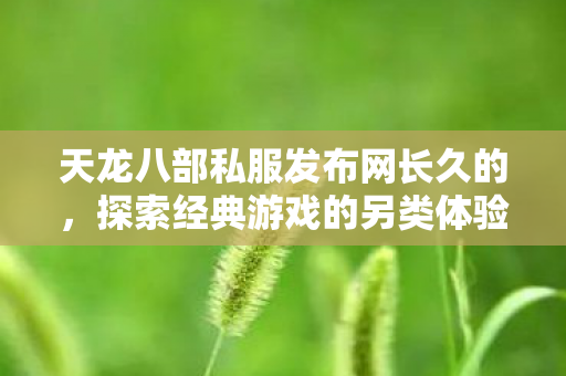 天龙八部私服发布网长久的,探索经典游戏的另类体验,天龙八部私服发布网,探索经典游戏的另类体验 天龙八部私服发布网长久的,探索经典游戏的另类体验,天龙八部私服发布网,探索经典游戏的另类体验