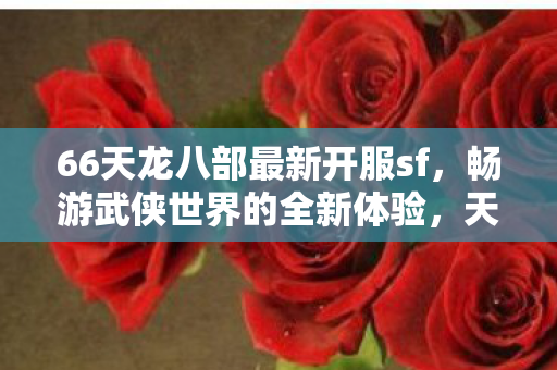 66天龙八部最新开服sf,畅游武侠世界的全新体验,天龙八部全新私服开启,畅游武侠世界的极致体验 66天龙八部最新开服sf,畅游武侠世界的全新体验,天龙八部全新私服开启,畅游武侠世界的极致体验