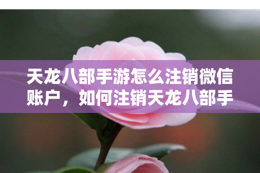 天龙八部手游怎么注销微信账户图片