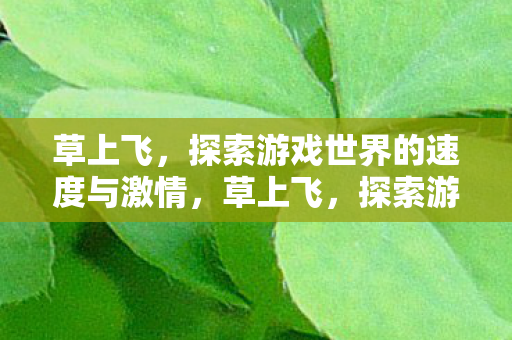 草上飞,探索游戏世界的速度与激情,草上飞,探索游戏世界的速度与激情 草上飞,探索游戏世界的速度与激情,草上飞,探索游戏世界的速度与激情