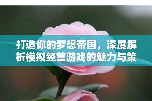 打造你的梦想帝国,深度解析模拟经营游戏的魅力与策略,深度解析,模拟经营游戏的魅力与策略 打造你的梦想帝国,深度解析模拟经营游戏的魅力与策略,深度解析,模拟经营游戏的魅力与策略
