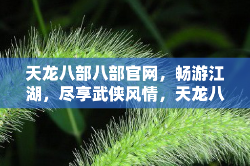 天龙八部八部官网,畅游江湖,尽享武侠风情,天龙八部畅游江湖,尽享武侠风情官网 天龙八部八部官网,畅游江湖,尽享武侠风情,天龙八部畅游江湖,尽享武侠风情官网