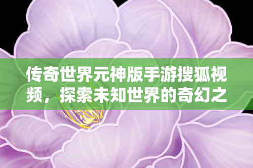 传奇世界元神版手游搜狐视频,探索未知世界的奇幻之旅,传奇世界元神版手游,探索未知世界的奇幻之旅 传奇世界元神版手游搜狐视频,探索未知世界的奇幻之旅,传奇世界元神版手游,探索未知世界的奇幻之旅