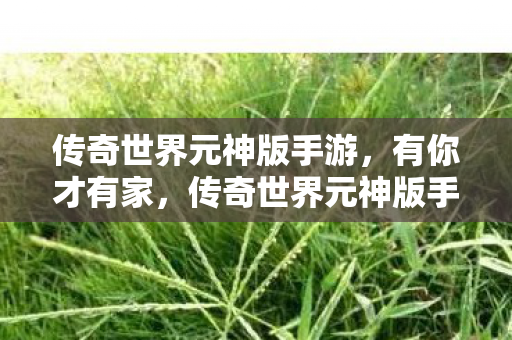 传奇世界元神版手游图片