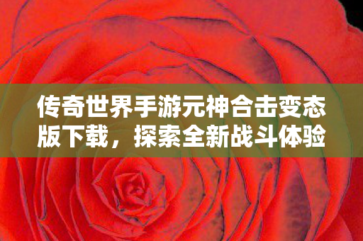 传奇世界手游元神合击变态版下载,探索全新战斗体验,传奇世界手游元神合击变态版,全新战斗体验等你来探索 传奇世界手游元神合击变态版下载,探索全新战斗体验,传奇世界手游元神合击变态版,全新战斗体验等你来探索
