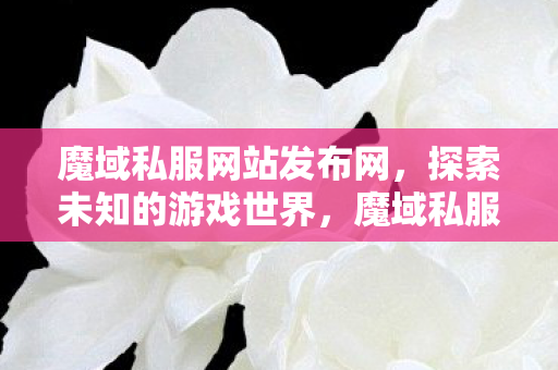 魔域私服网站发布网图片