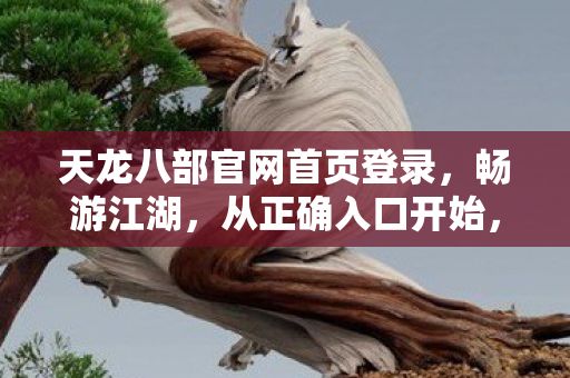 天龙八部官网首页登录图片